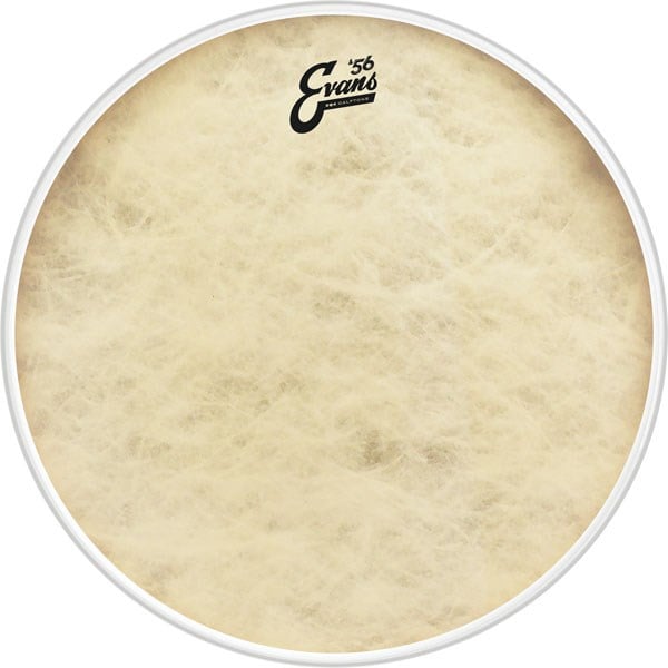EVANS BD20GB4CT 20