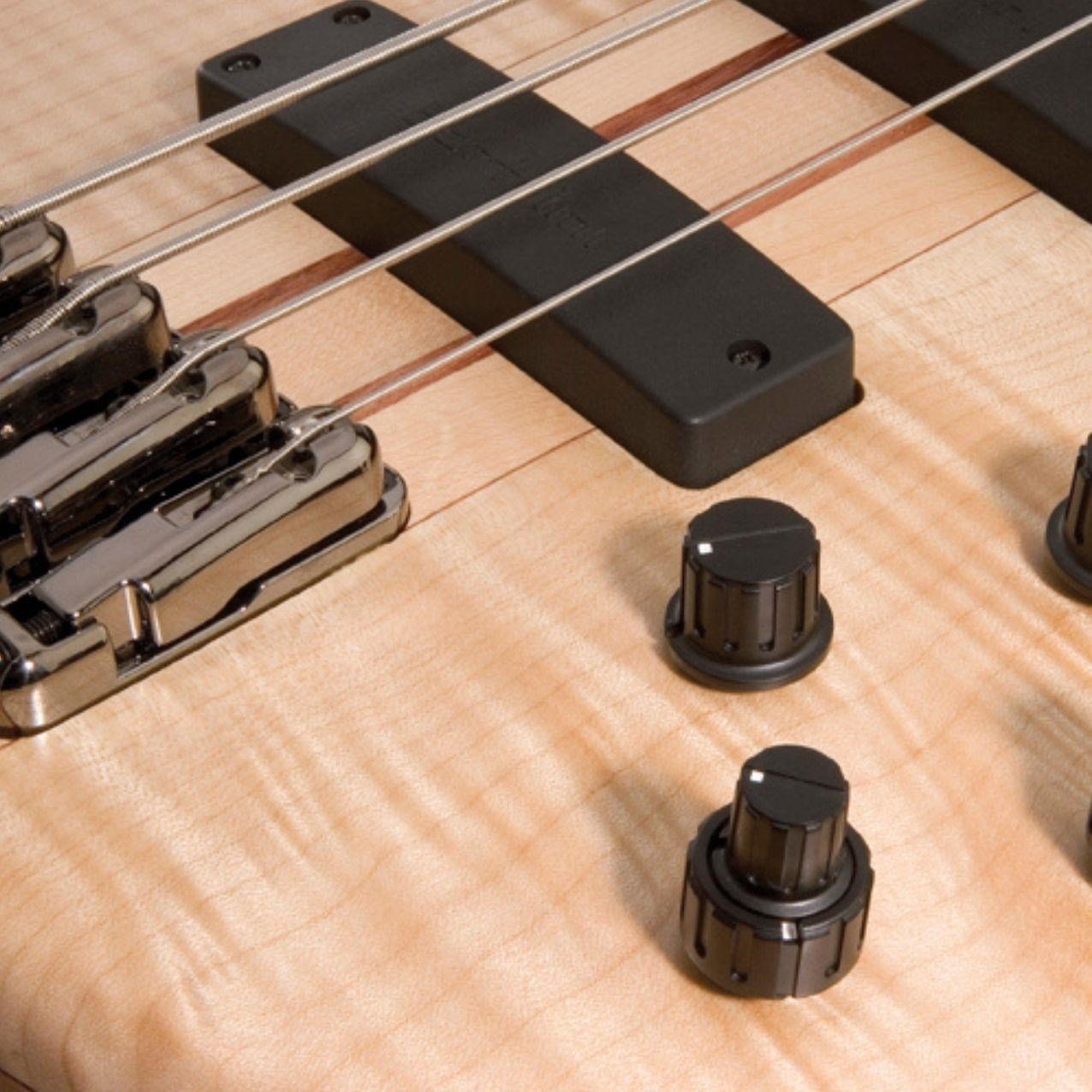 IBANEZ SR1005EFMNTF BASS GİTAR, ÇANTALI, 5 TELLİ