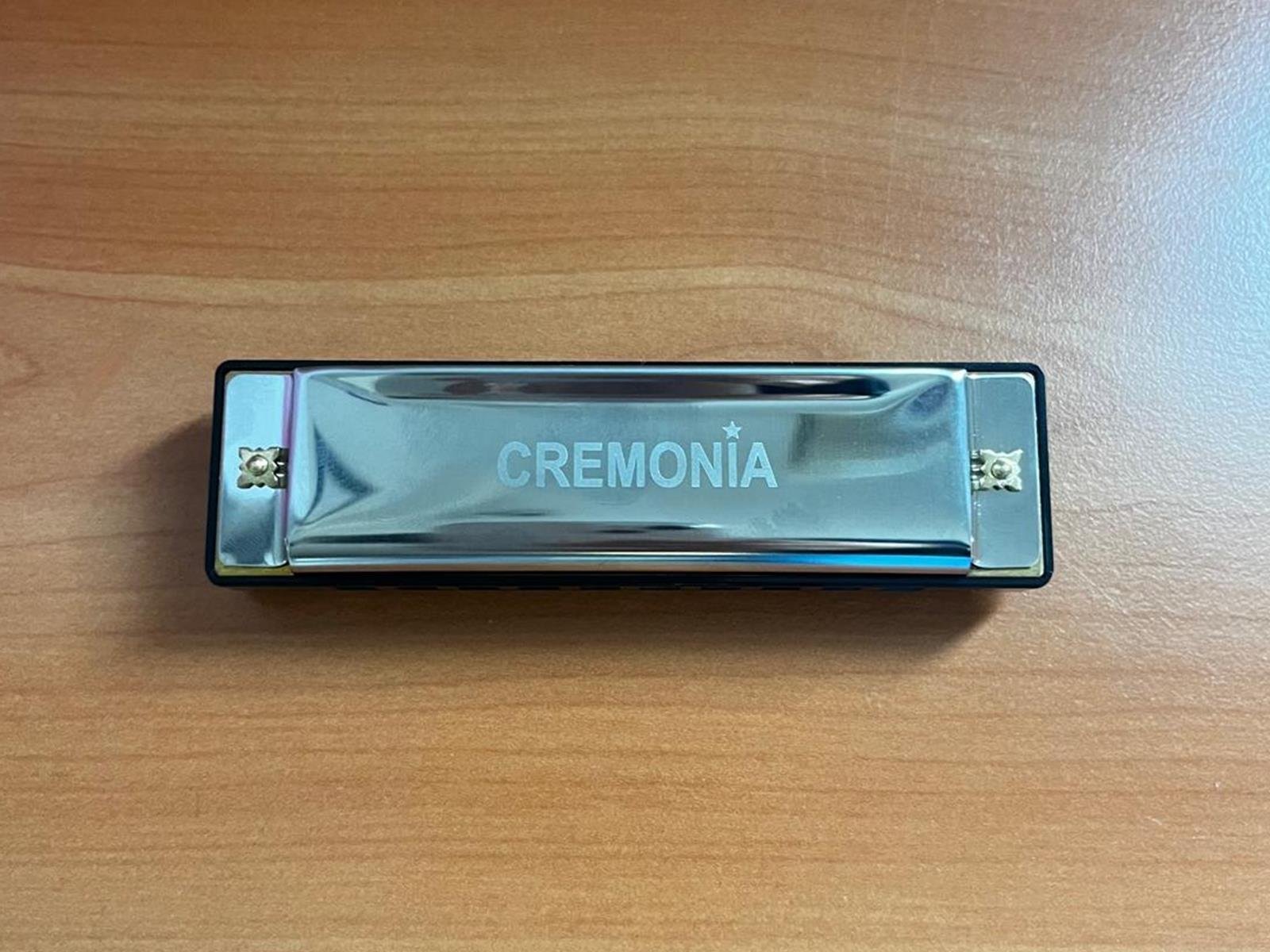 MIZIKA 10 DELİK, MODEL: PROFESSIONAL HARMONICA