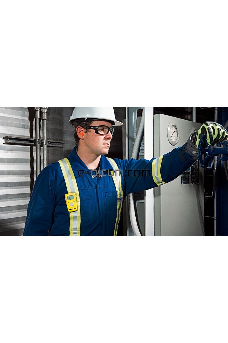 BW Clip Hidrojen Sülfür (H2S) Dedektörü