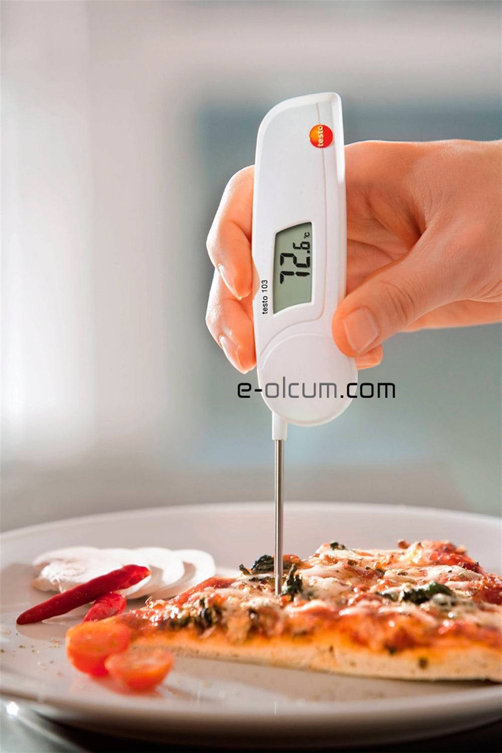 Testo 103 Batırmalı Termometre