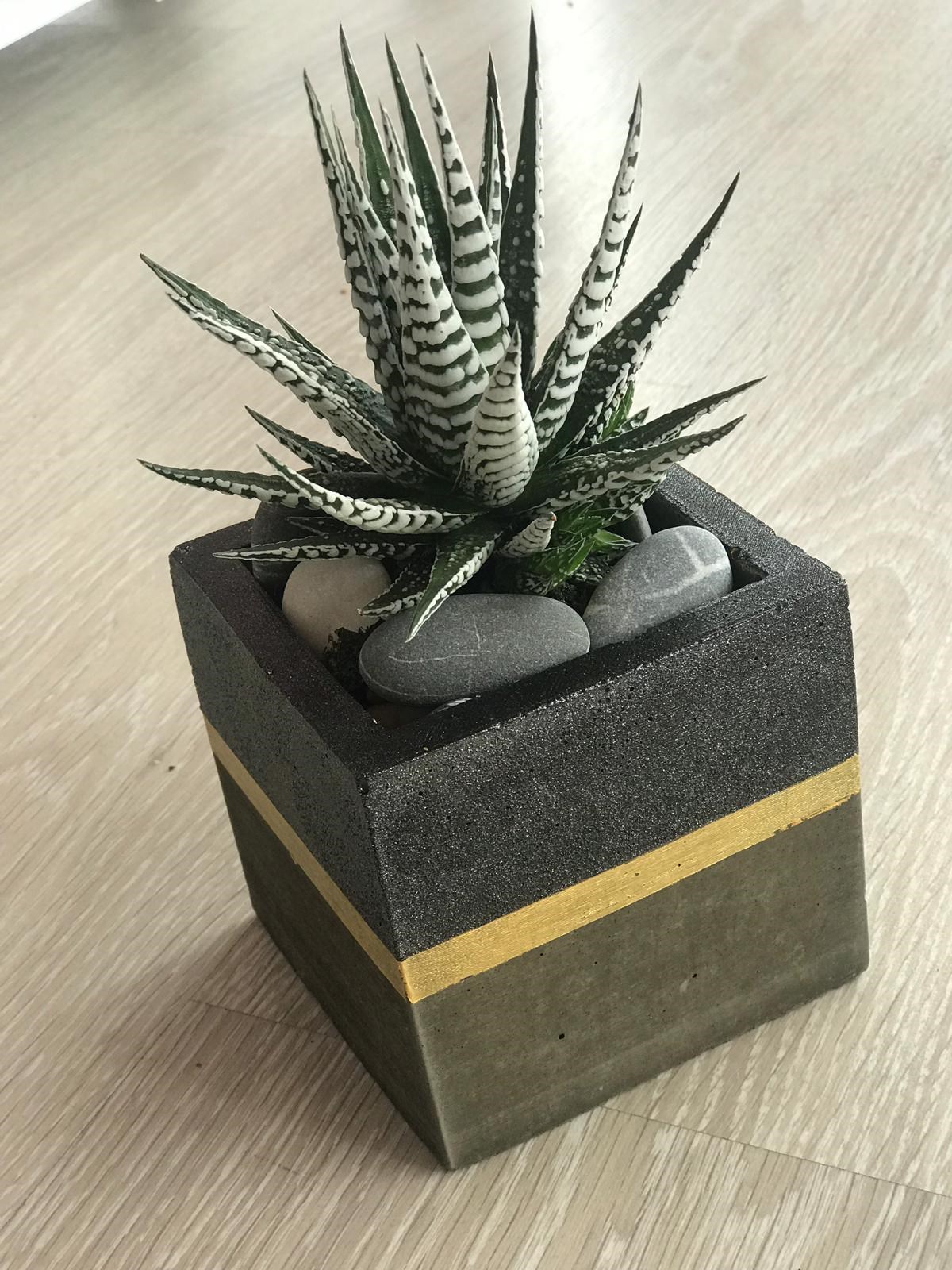 10X9,5 Beton Saksılık