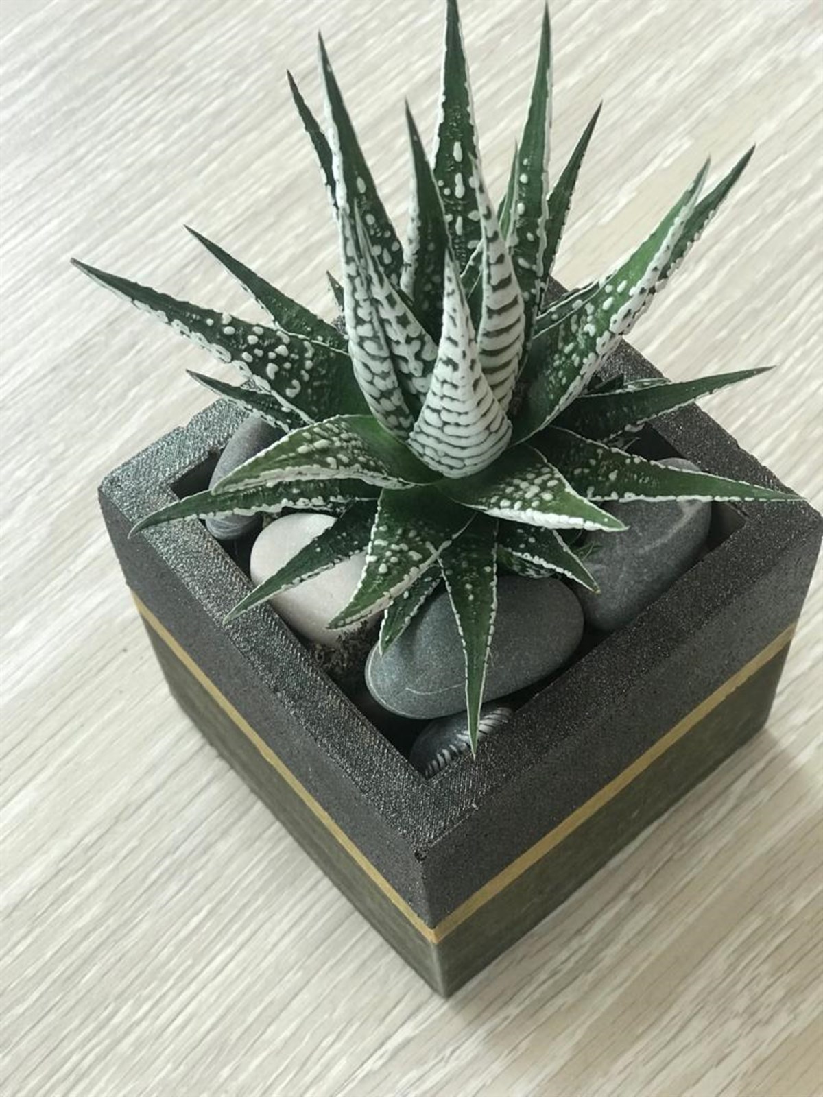 10X9,5 Beton Saksılık