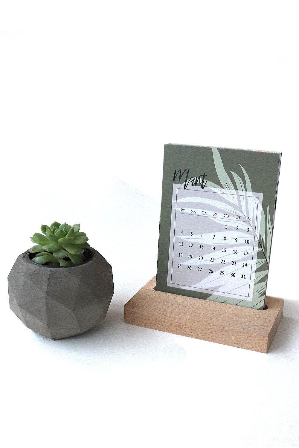 Bitkili beton saksılık çap 9.5 cm