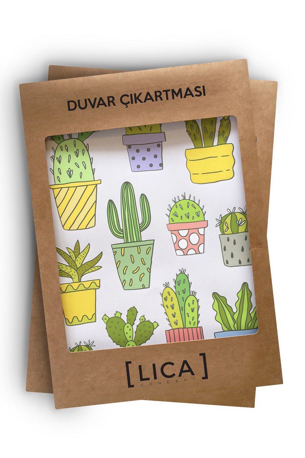 Duvar Çıkartması Kaktüs Tropik