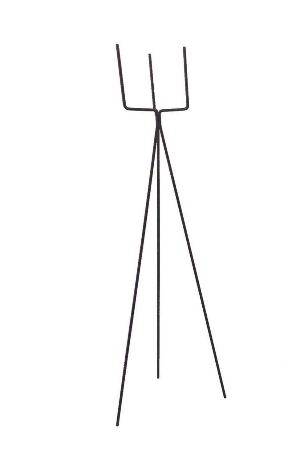 Siyah Saksılık büyük