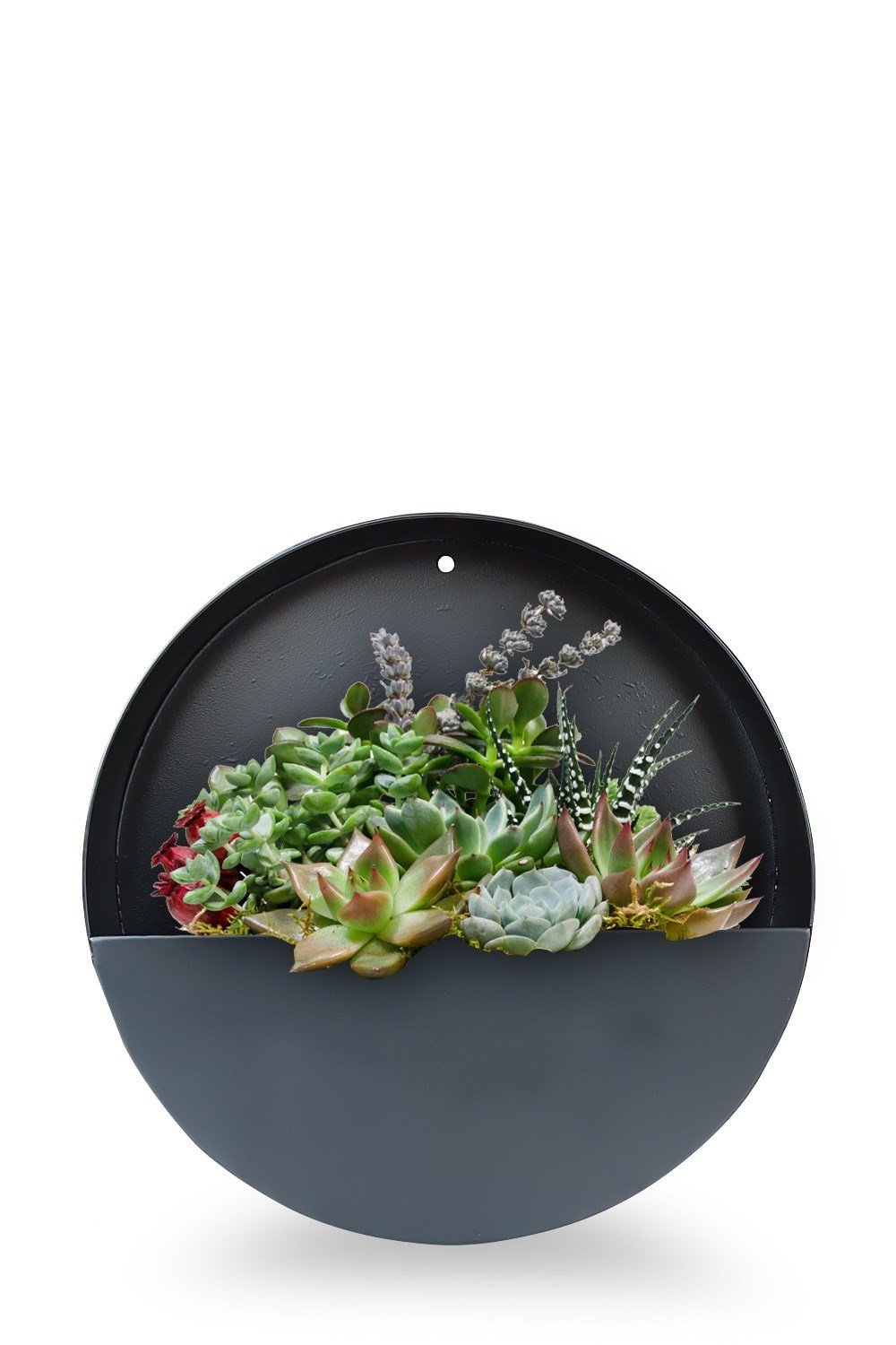 Yuvarlak metal duvar saksılığı