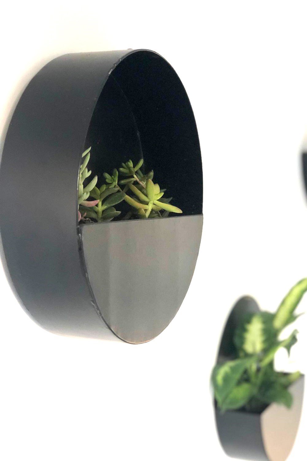 Yuvarlak metal duvar saksılığı