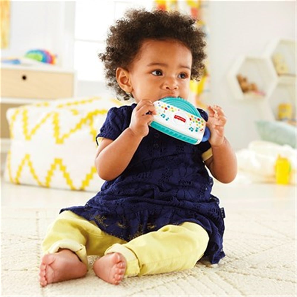 Fisher Price Enstrüman Oyuncaklar DTH42