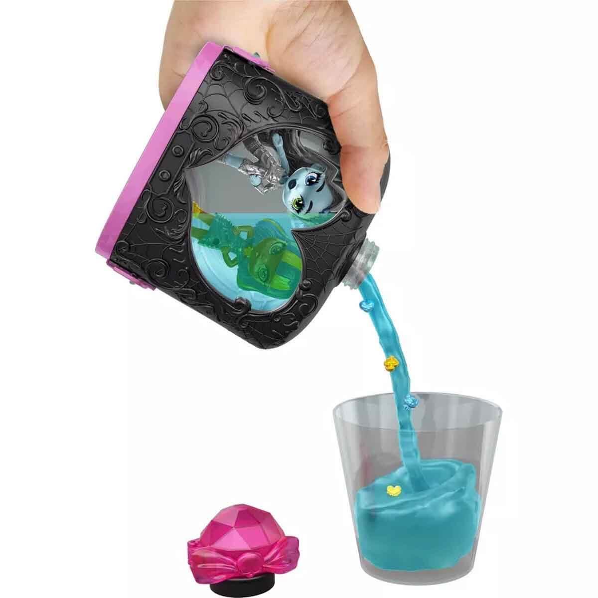 MONSTER HIGH SURPRIZ IKSILER HAVALI ARKADASLAR SERISI JCY18 Diğer JCY18