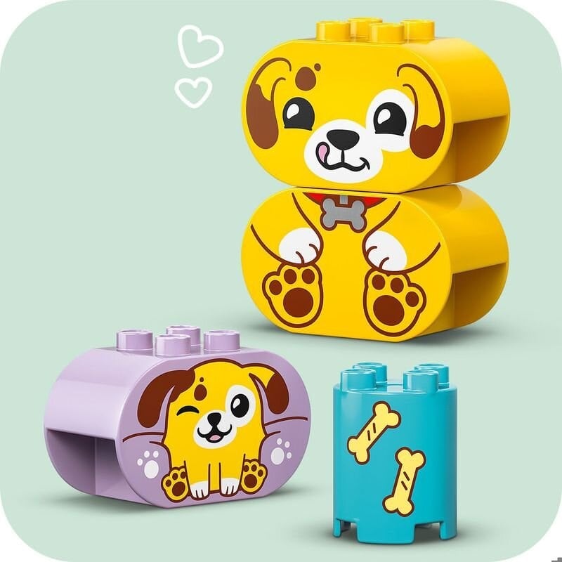 LEGO DUPLO İlk Şekil Ayırıcı Köpek Evi 10441 Lego LED10441