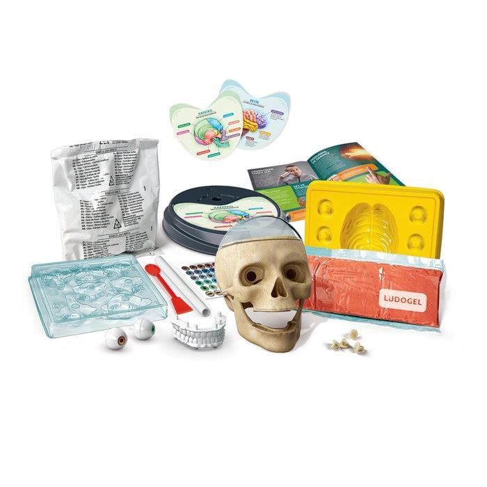 Clementoni Bilim ve Oyun Çılgın Anatomi 64322 Clementoni CLE 64322