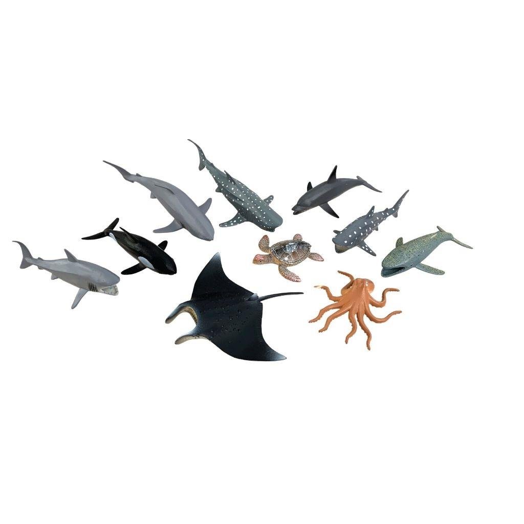 Vardem Kutulu 10 Parça Okyanus Hayvanları Seti Vardem VARSH D5802