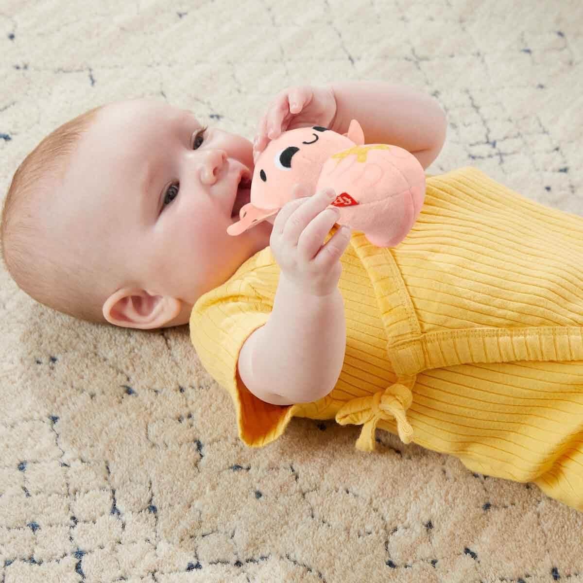 Fisher Price Duyuları Harekete Geçiren Oyun Seti HRB17 Fisher Price HRB17