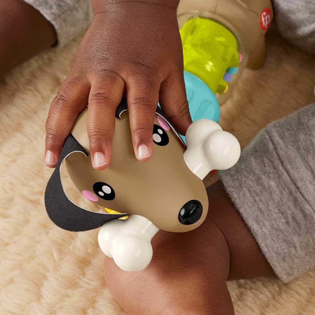 FISHER PRICE KOPEKCIKLE EGLENCELI AKTIVITELER HTW91 Diğer HTW91