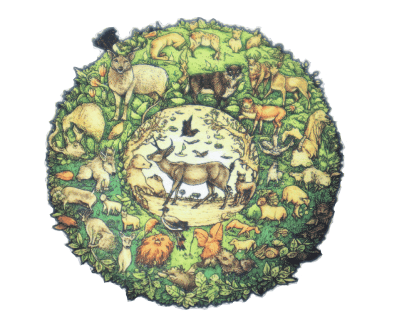 Redka Wooden Jigsaw Animals Redka RD5643 A