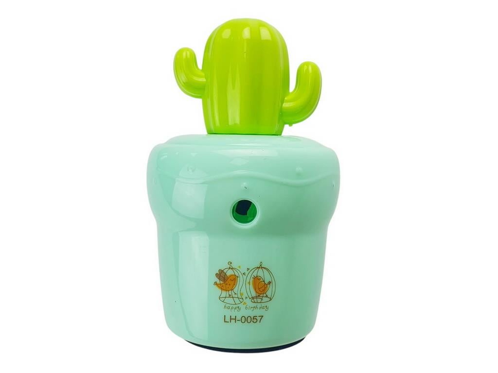 KAKTUS KALEMTRAS Diğer LH0057