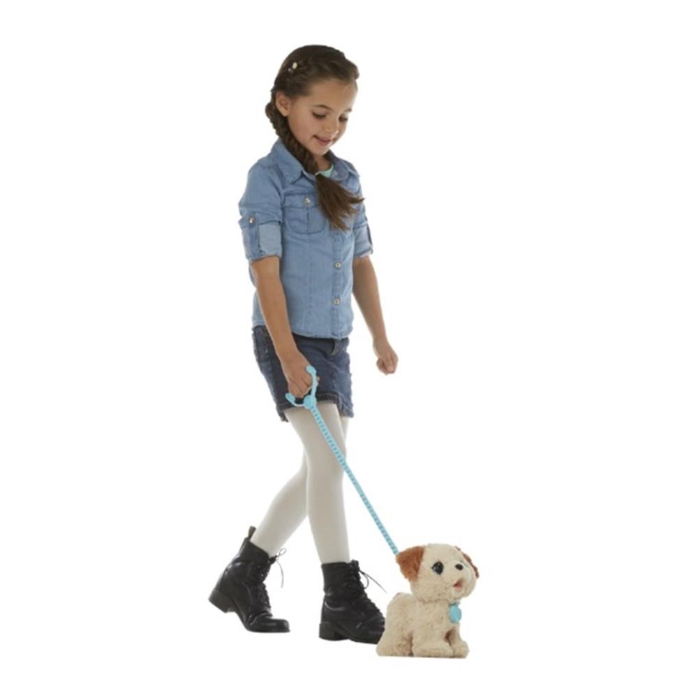 Afacan Köpeğim Pax C1278