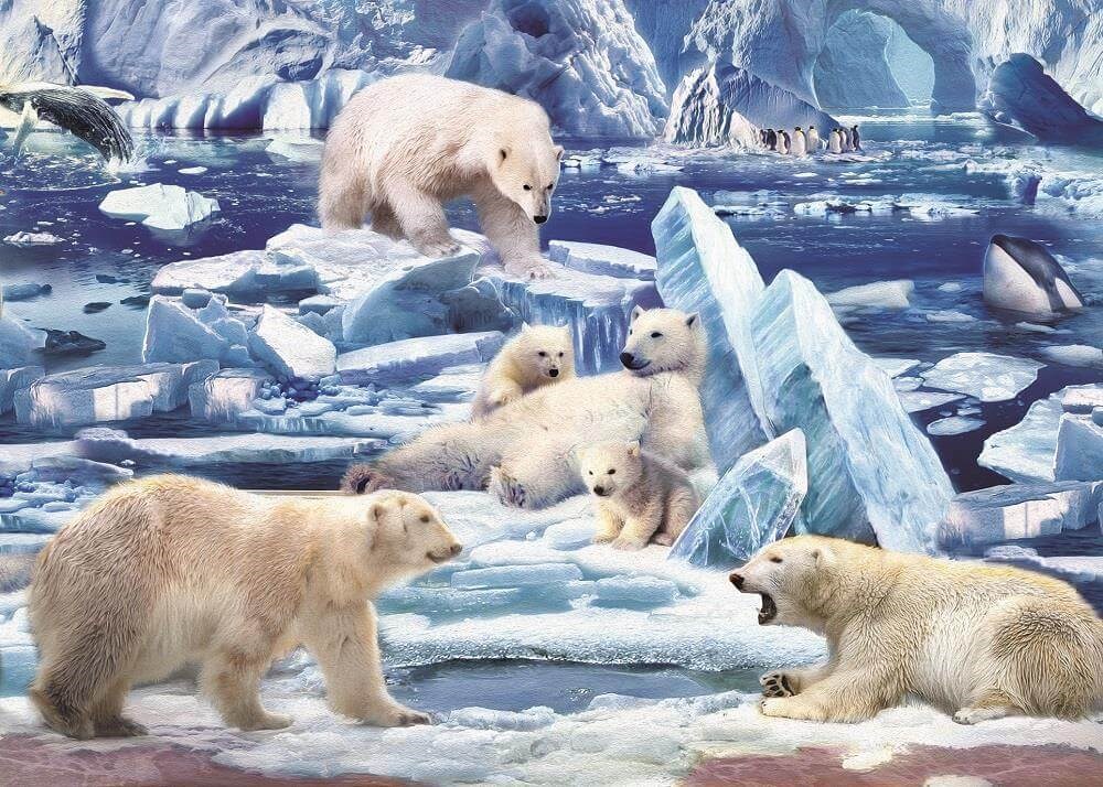 Art Puzzle Kutup Ayıları 200 Parça Yapboz HD 4539 Art Puzzle HD 4539