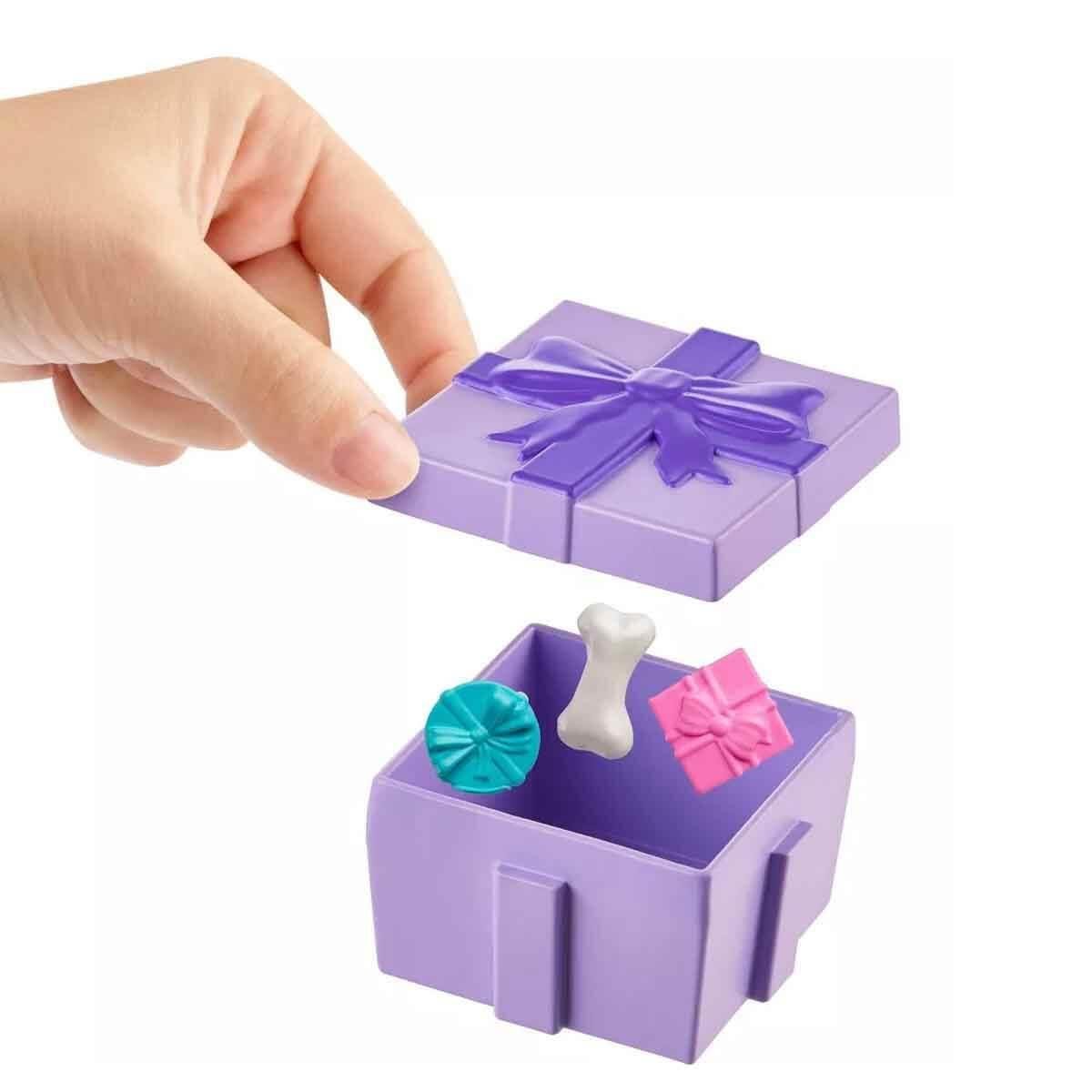POLLY POCKET POLLYNIN DOGUM GUNU PARTISI PAKETI JCC33 Diğer JCC33