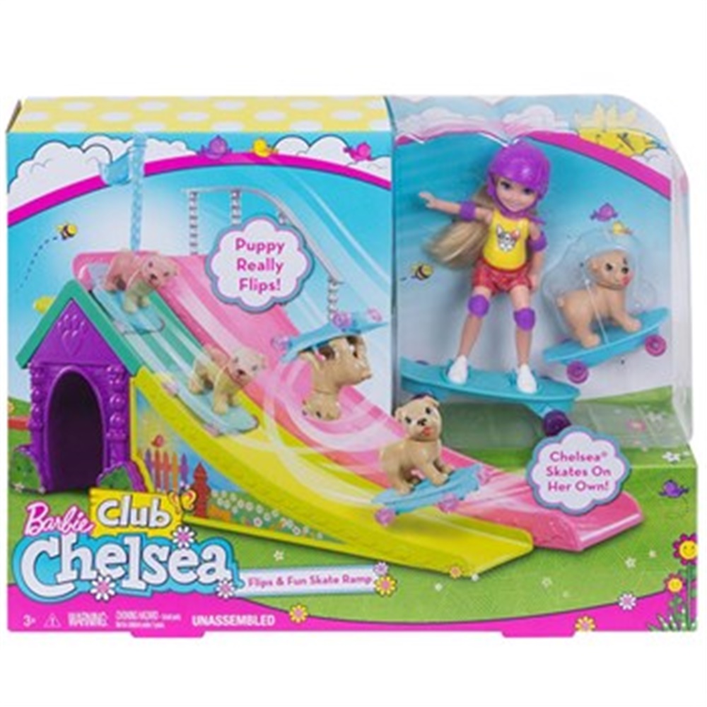 Barbie Chelsea'nin Kaykay Pisti FBM99