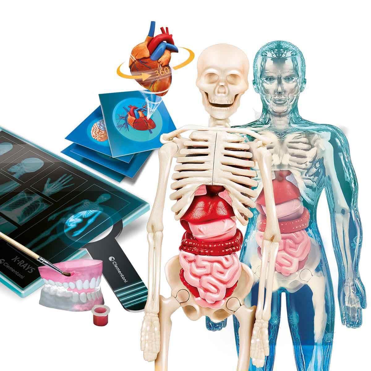 Clementoni Bilim ve Oyun: Süper Anatomi Clementoni CLE 64474