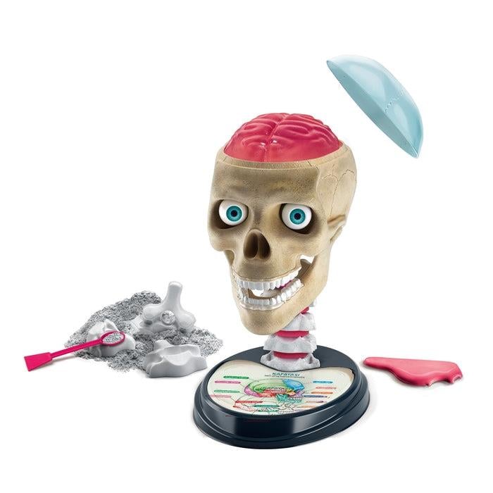 Clementoni Bilim ve Oyun Çılgın Anatomi 64322 Clementoni CLE 64322