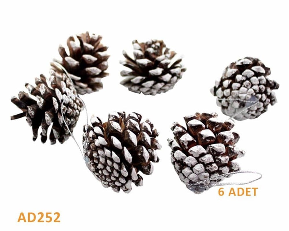 Gümüş Renk 6'lı Simli Kozalak Diğer AD252