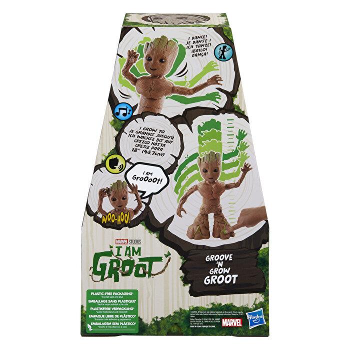 INTERAKTIF DANS EDEN GROOT F8027 Diğer F8027