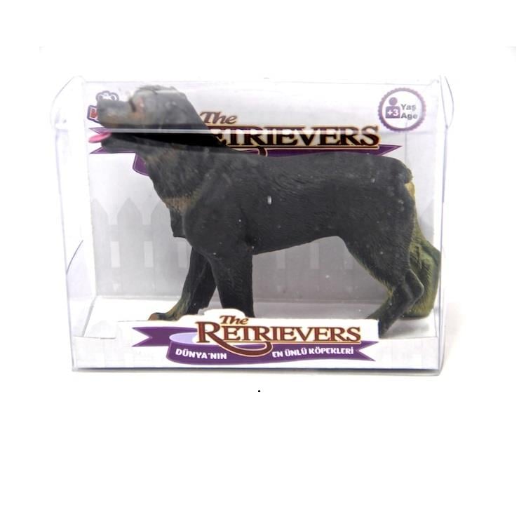 Pvc Kutulu Sevimli Köpekler Diğer Q9899 135