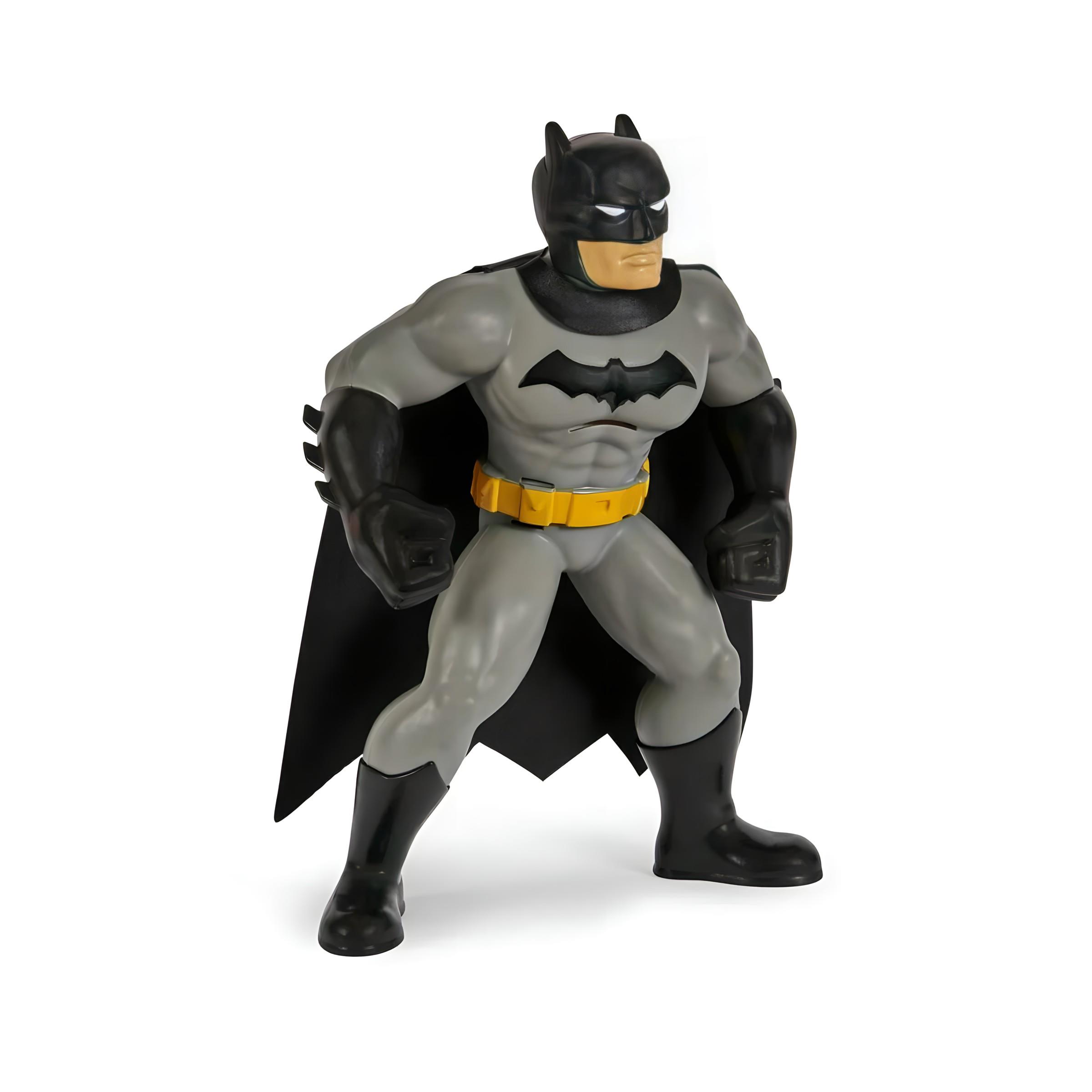 YUZME ARKADASLARI BATMAN 6067008 Diğer SPIN 6067008