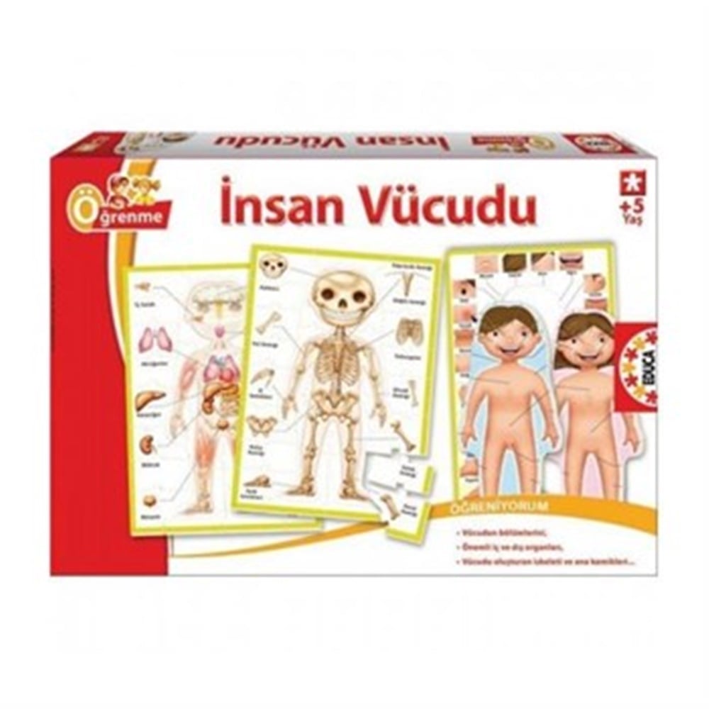 Educa İnsan Vücudu Puzzle