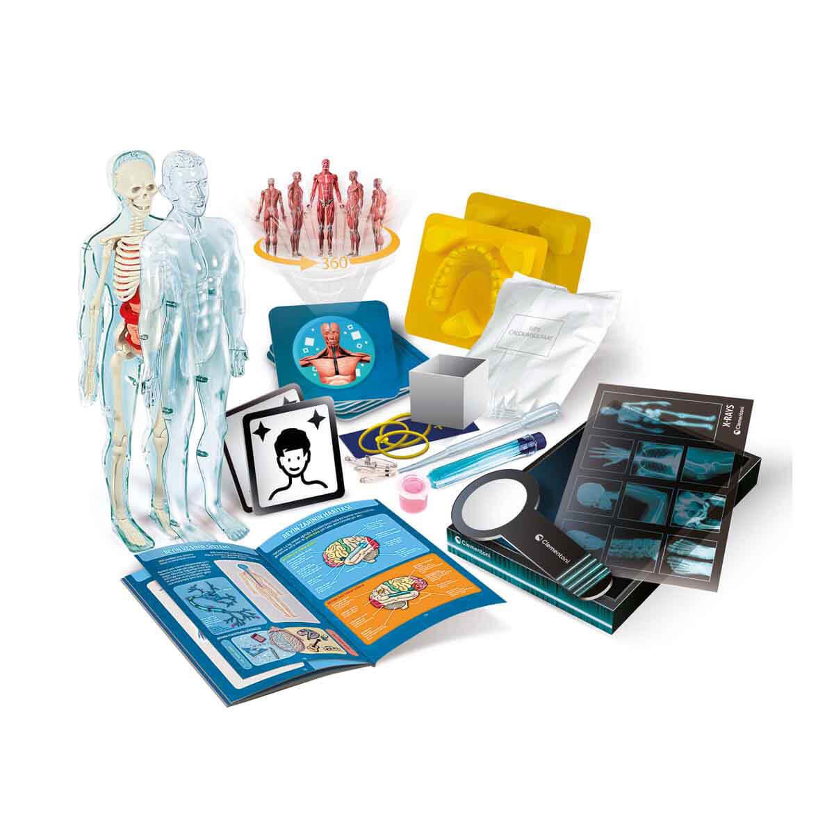 Clementoni Bilim ve Oyun: Süper Anatomi Clementoni CLE 64474