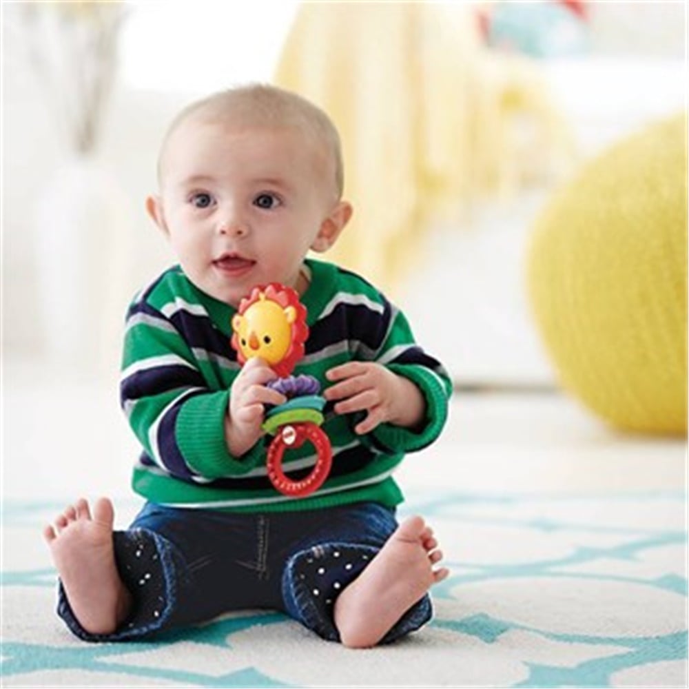 Fisher Price Aslan Çıngırak CGR32