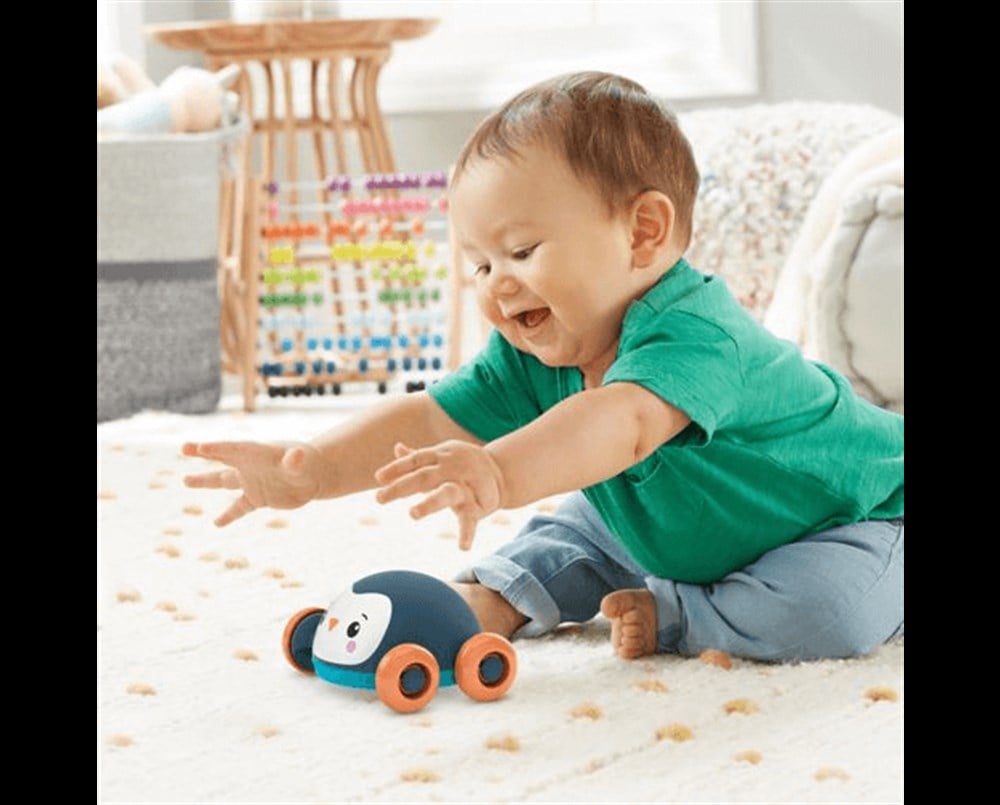 Fisher Price 2si 1 Arada Sevimli Hayvancıklar Penguen Gtj61-Gvl64 Fisher Price GVL64