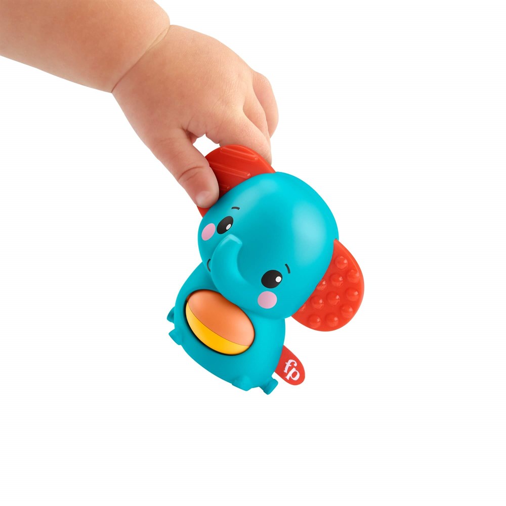 Fisher Price Mini Hayvancıklar GXC65-GXC63 Fisher Price GXC63