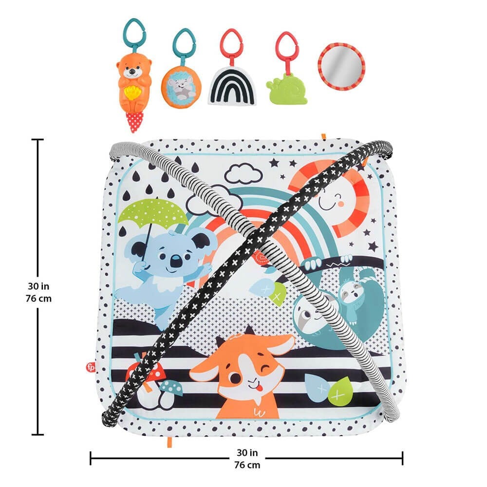 FISHER-PRICE NESELI HAYVANLAR 3U 1 ARADA JIMNASTIK MERKEZI HBP41 Fisher Price HBP41