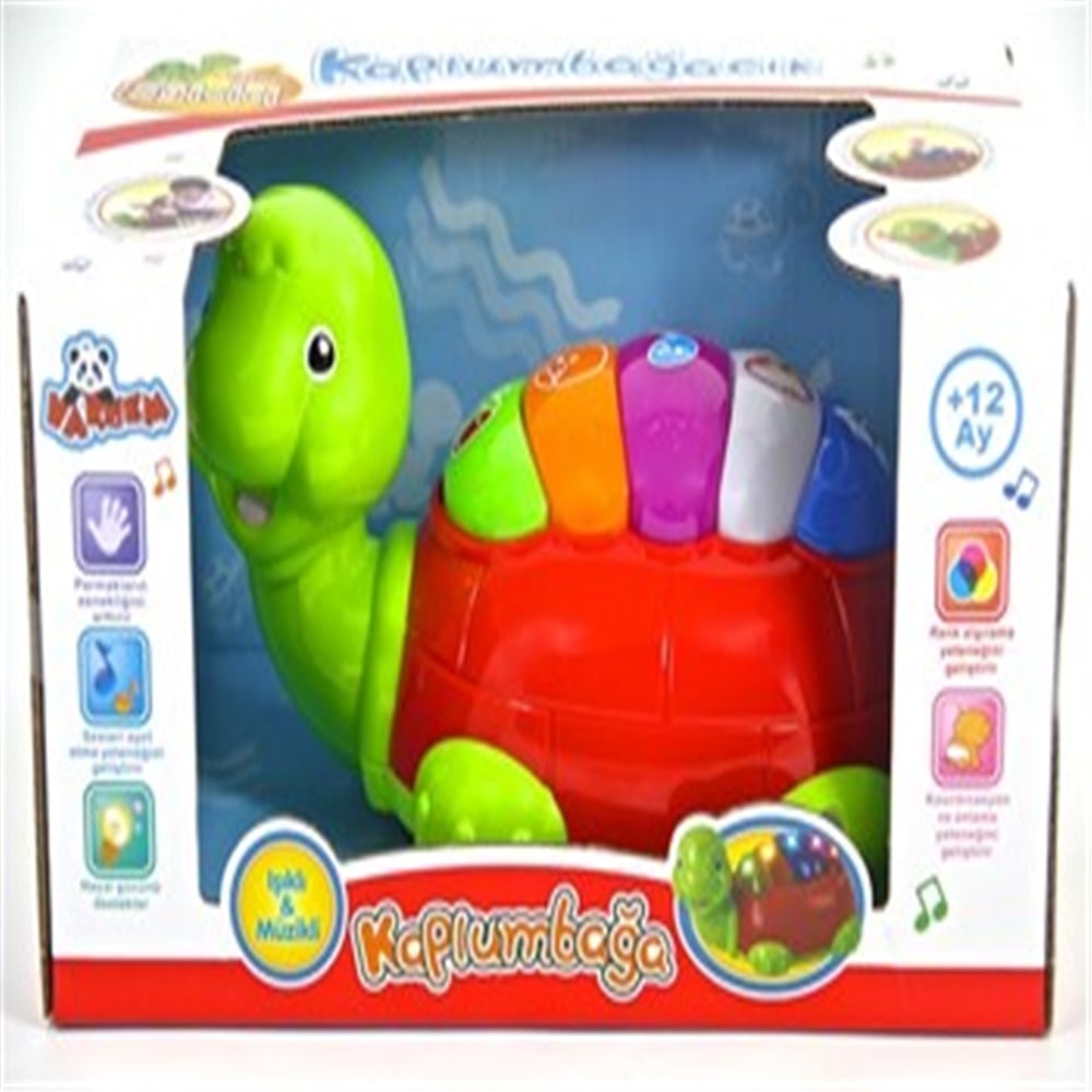 Vardem Çarpgeç Renkli̇ Kaplumbağa