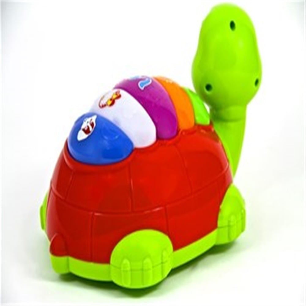 Vardem Çarpgeç Renkli̇ Kaplumbağa