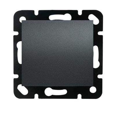 Panasonic Thea Blu Füme Anahtar Çerçevesiz