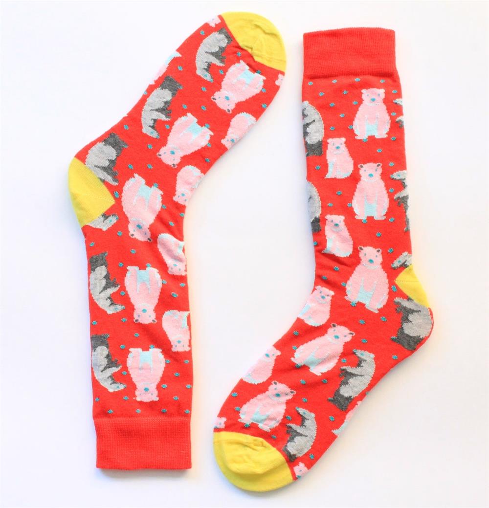 ÇorapCMC16534'lü Ayı Desenli Çorap Hediye Seti