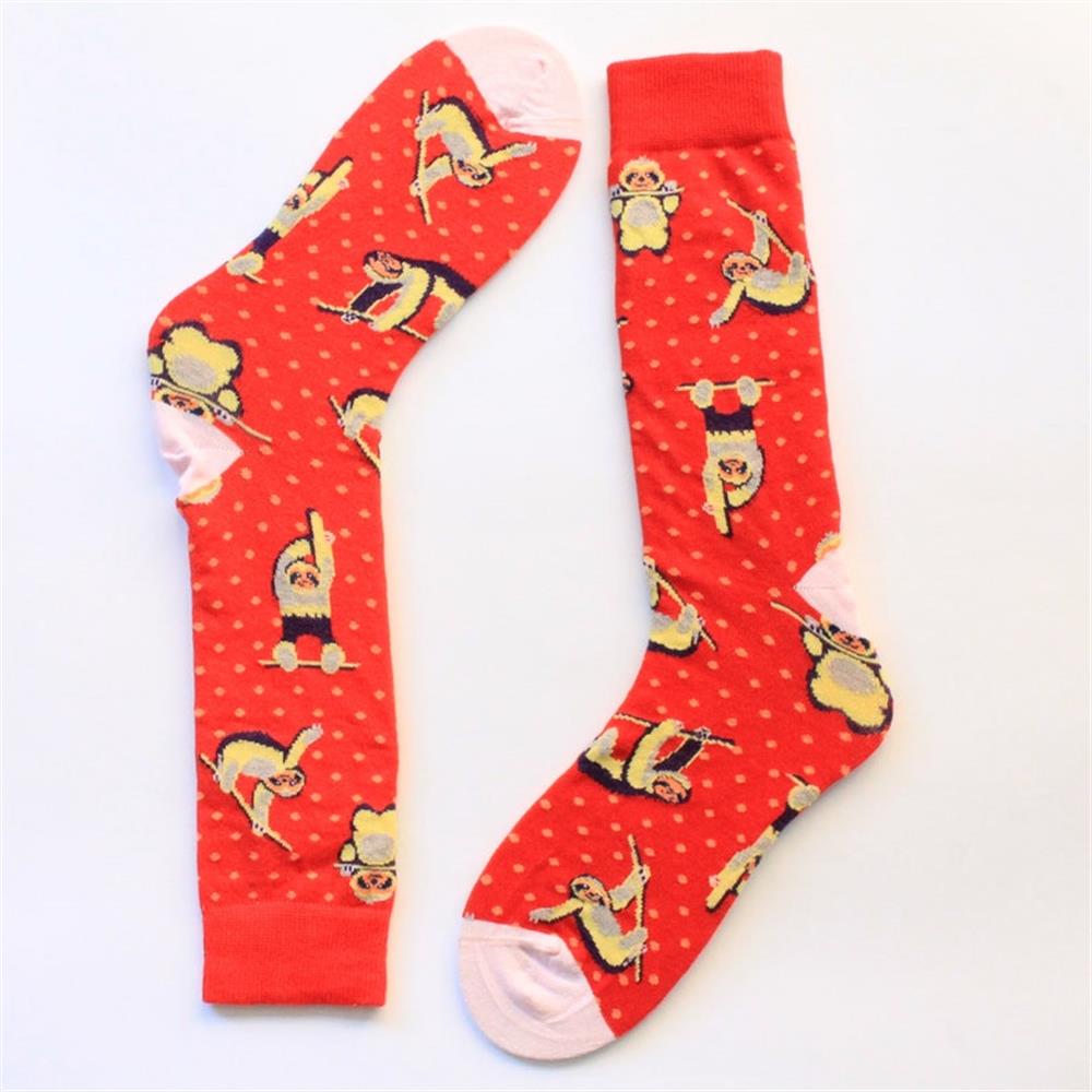 ÇorapCMC16544'lü Tembel Hayvan Desenli Çorap Hediye Seti