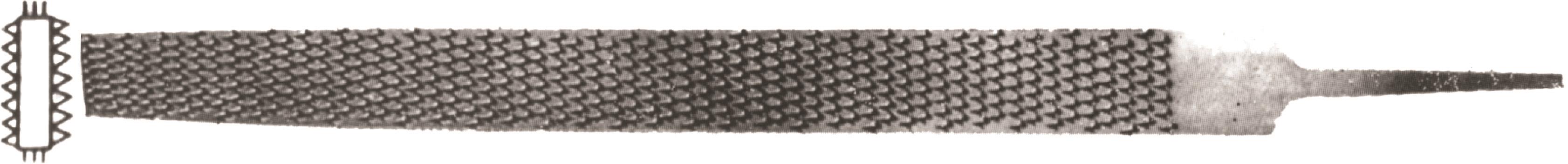 AĞAÇ TÖRPÜSÜ  -  FLAT 12