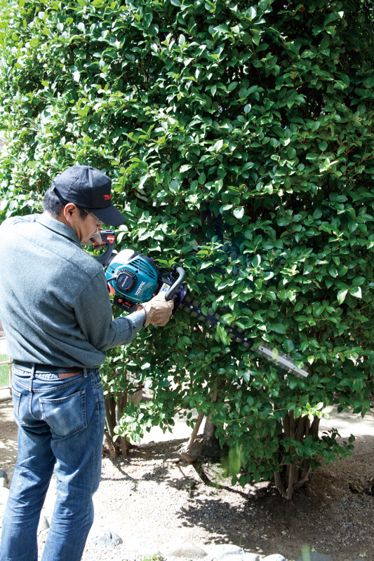 Makita BENZİNLİ ÇİT BUDAMA 22.2 cc/1.0 hp EH6000W