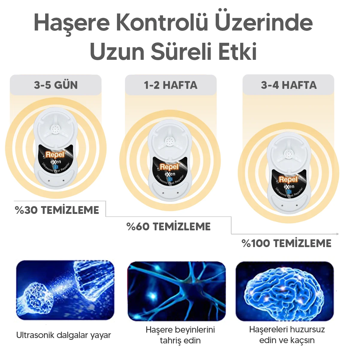 FARE KOVUCU EXEN  | Bahçe Ürünleri  | 