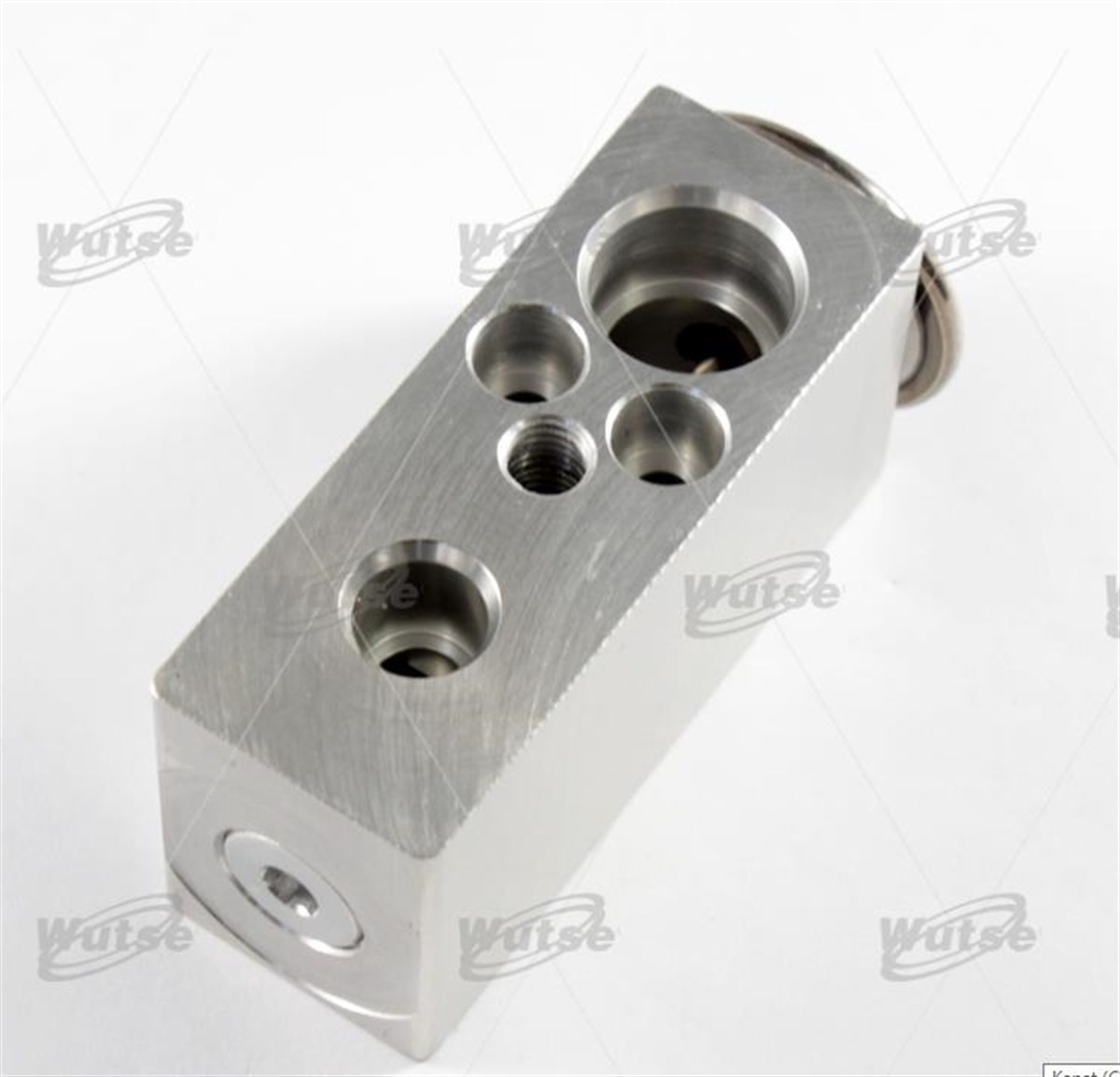 Expansion Valf Ford Focus 09 Renault Fluance