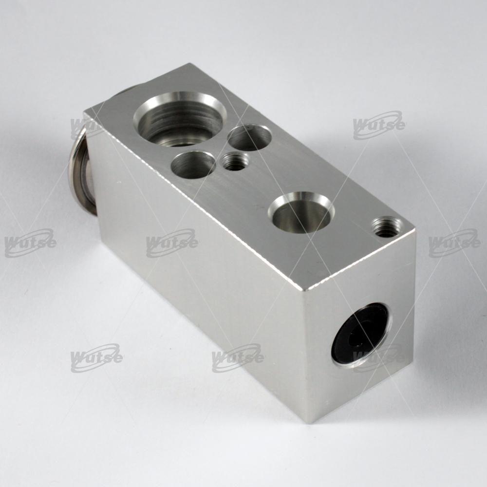 WUTSE42051027-Expansion Valf
