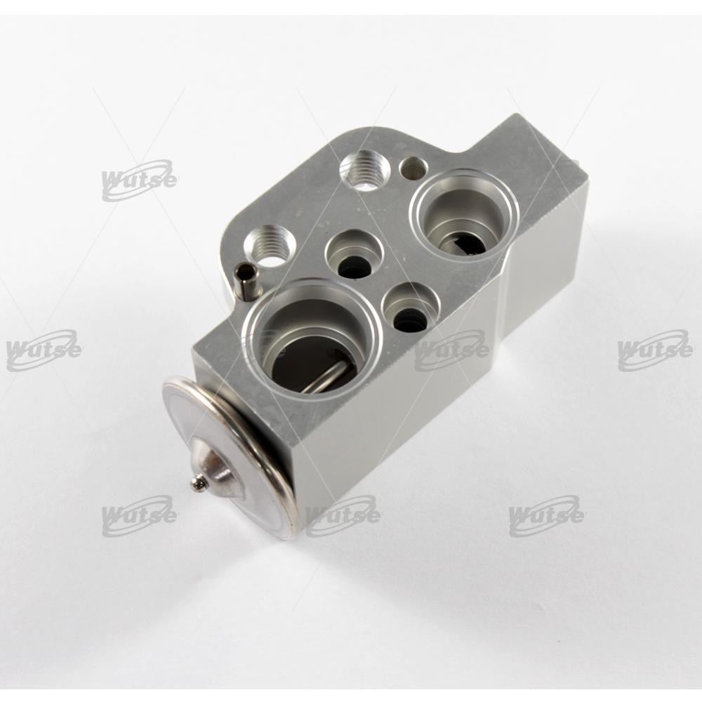 WUTSE42051051-Expansion Valf