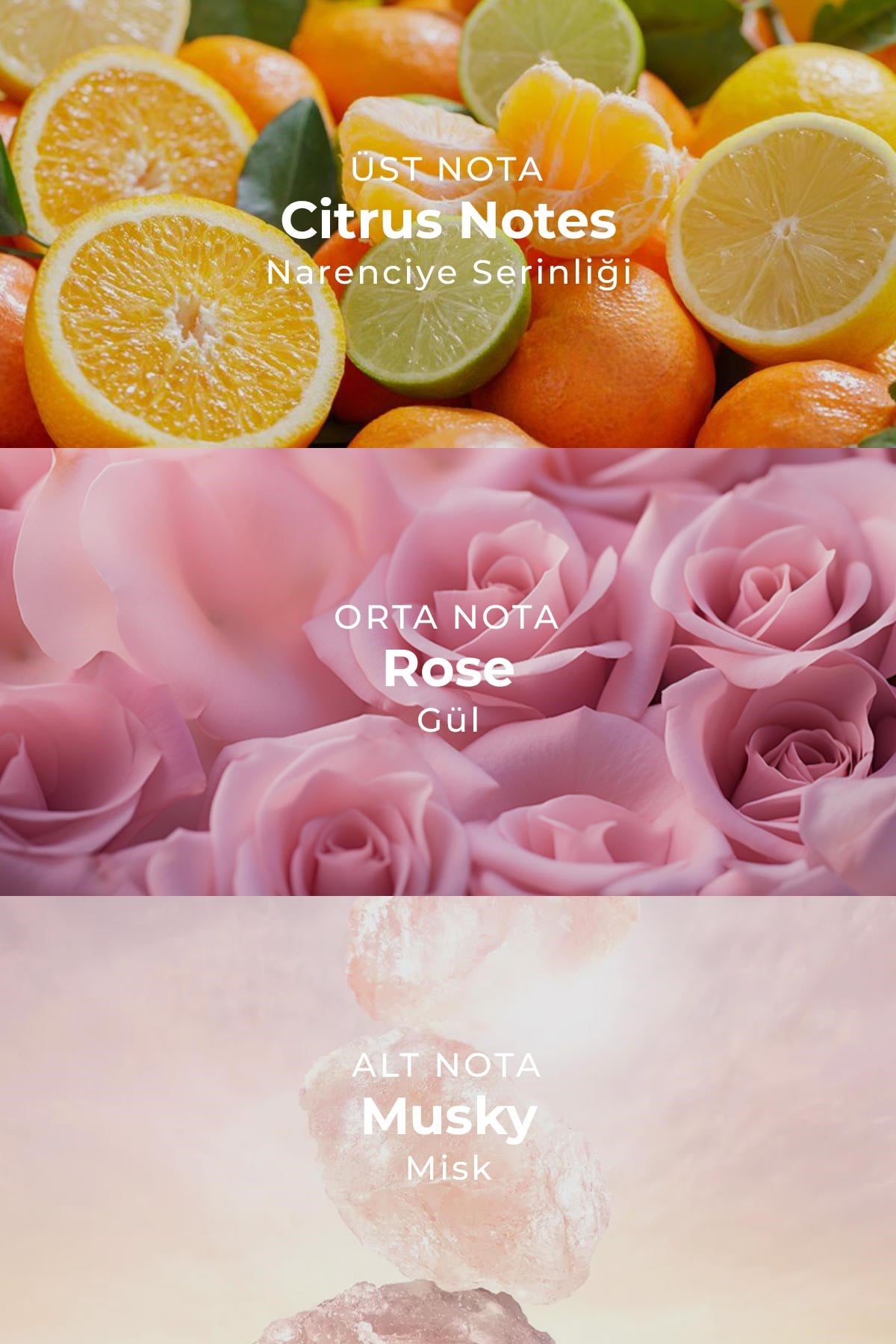 AI Fragrance Roselle EDP Kadın Parfüm 50ml | Şeftali | Citrus | Yasemin | Gül | Paçuli