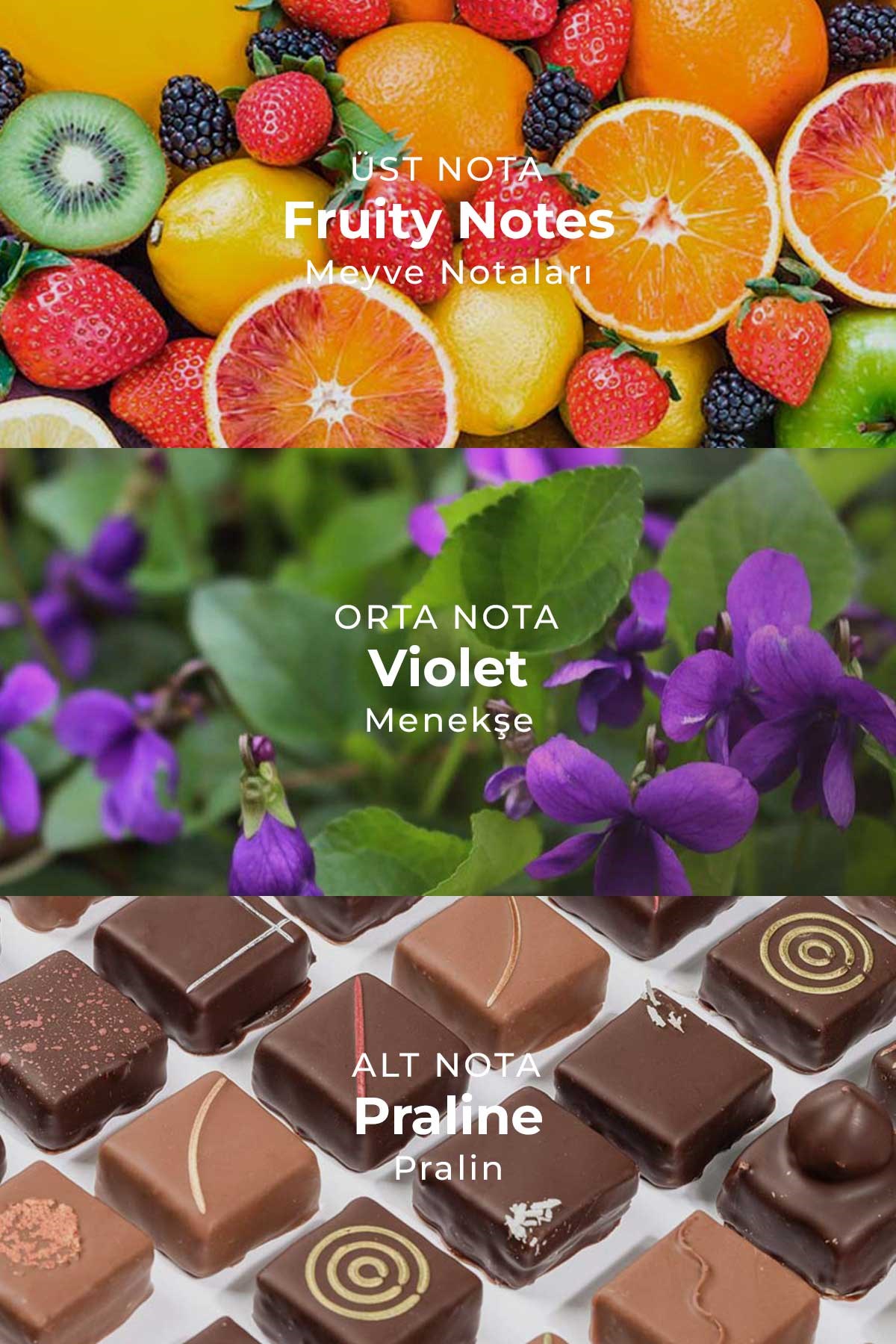 AI Fragrance Violet EDP Kadın Parfüm 50ml | Raspberry | Gül | Pralin | Woody | Amber